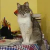 Отзыв от Лариса Горячева